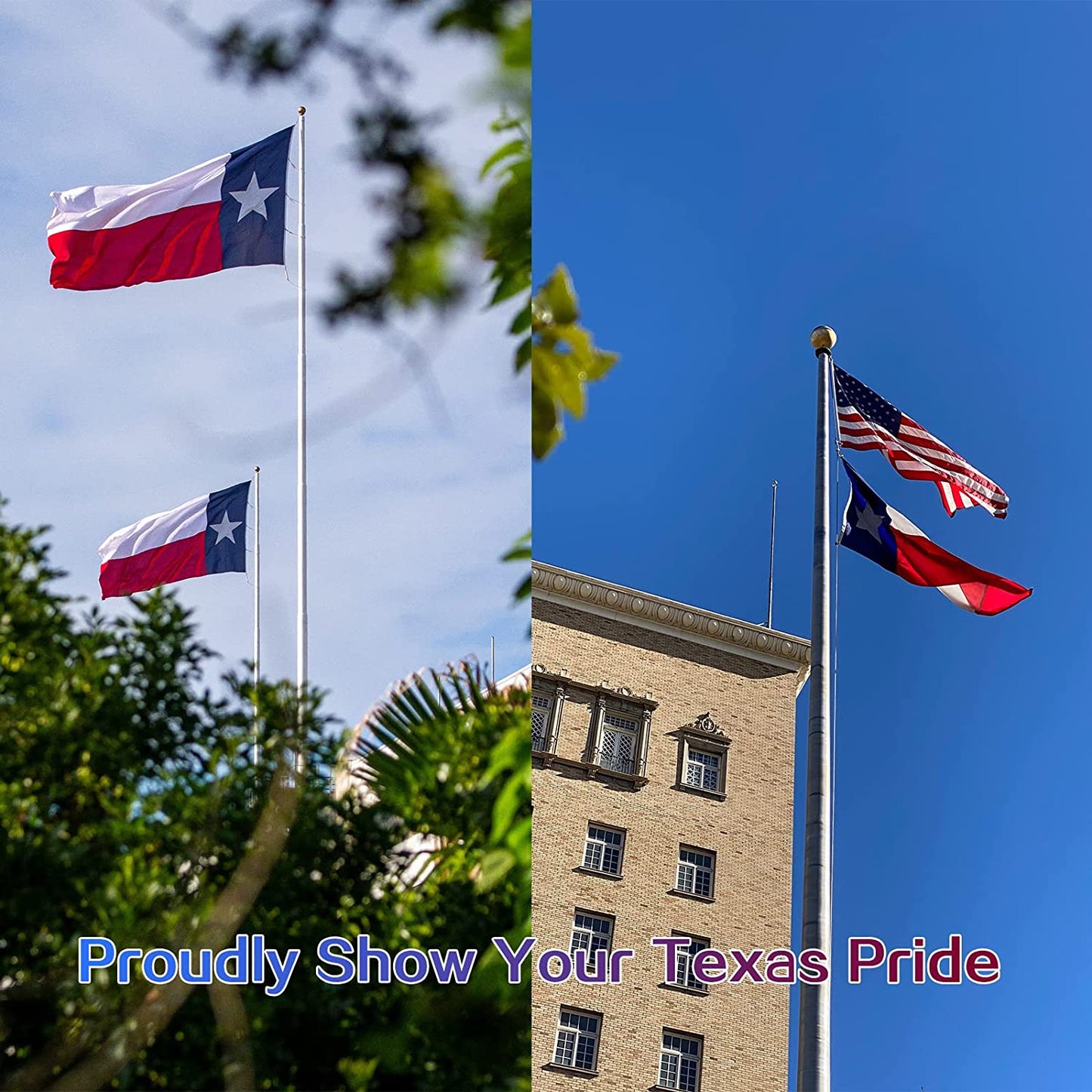 Texas State Flag